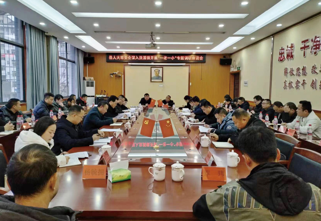 泸溪县人大常委会党组书记、主任胡成平开展一老一小专题调研工作.jpg