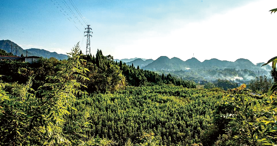 5.新巍锰渣库整治后.png