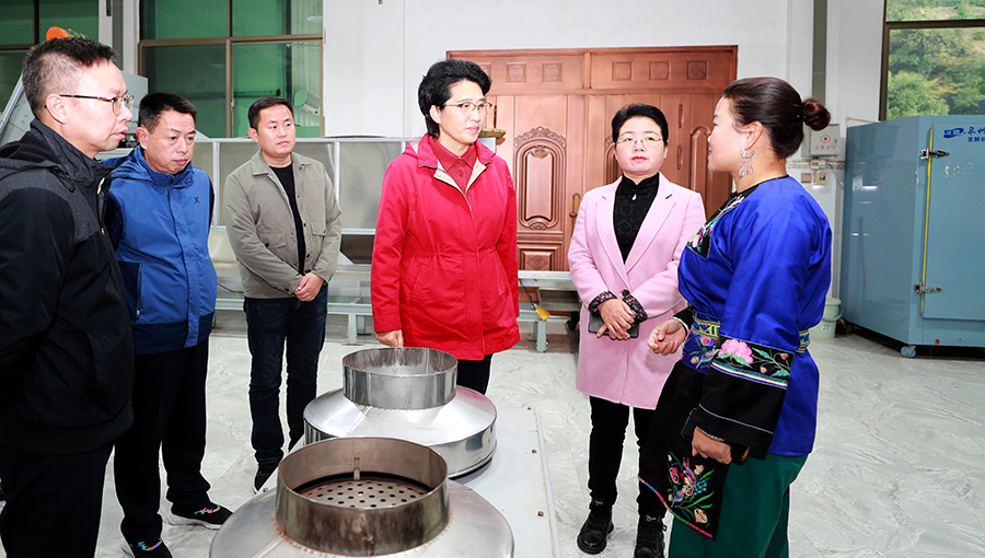 陈华开展“四下基层”调研时强调：做足茶旅融合文章 守住安全生产底线 走好新时代乡村振兴之路