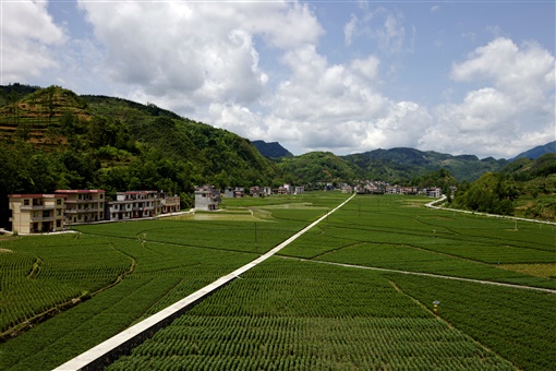 05.jpg