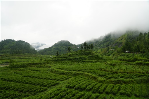 06.jpg